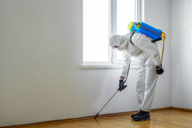 Professional Pest control in Carlton, OR